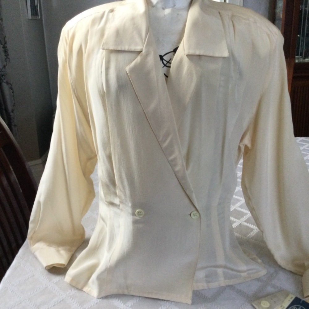 NWT Jenifer Moore 100% Silk Blouse ~ Gorgeous - Picture 5 of 7